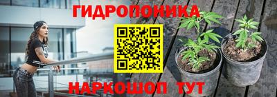 молекула духа Кандалакша