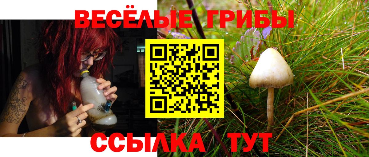 Куйбышев  Галлюциногенные грибы Cubensis  купить наркотик  Псилоцибиновые грибы MAGIC MUSHROOMS  Вход с VPN 